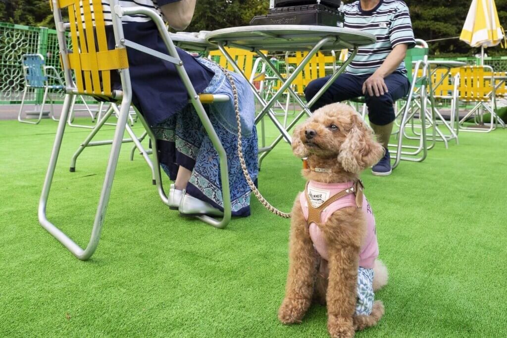 札幌パークホテルの『パークガーデン PARK GARDEN』-ドッグフレンドリーエリア