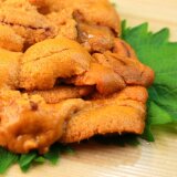 【うに専門店世壱屋 札幌南二条店】南2東1にうに専門店がオープン！
