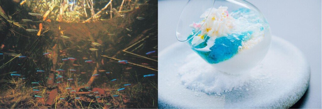 AOAO SAPPOROの『LIFE to LIFE〜小さないのちから、あなたの暮らしへ〜』