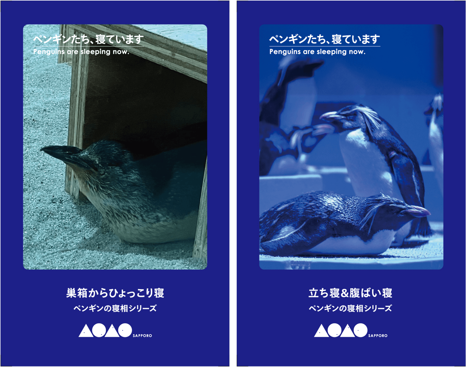 AOAO SAPPORO-NIGHT WATCHING CARD