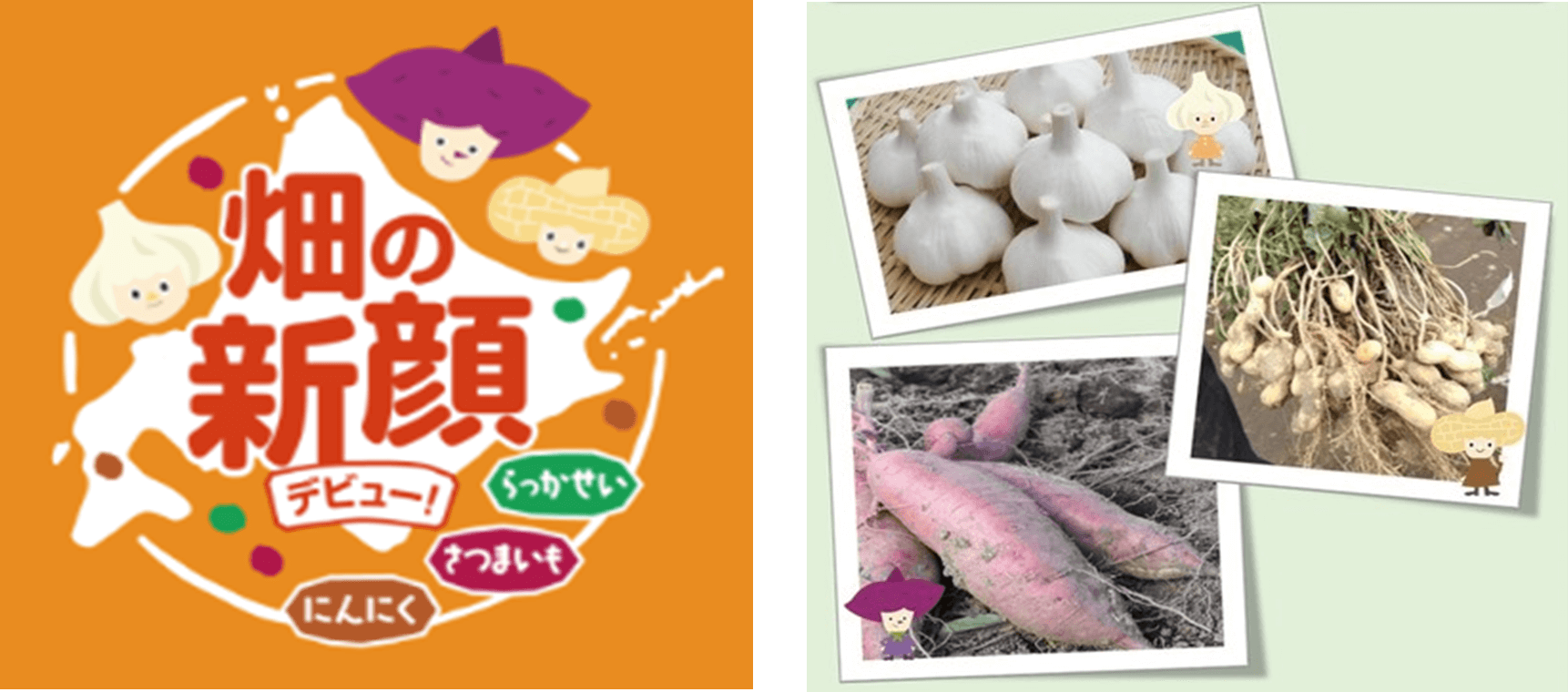 北海道の「畑の新顔作物」