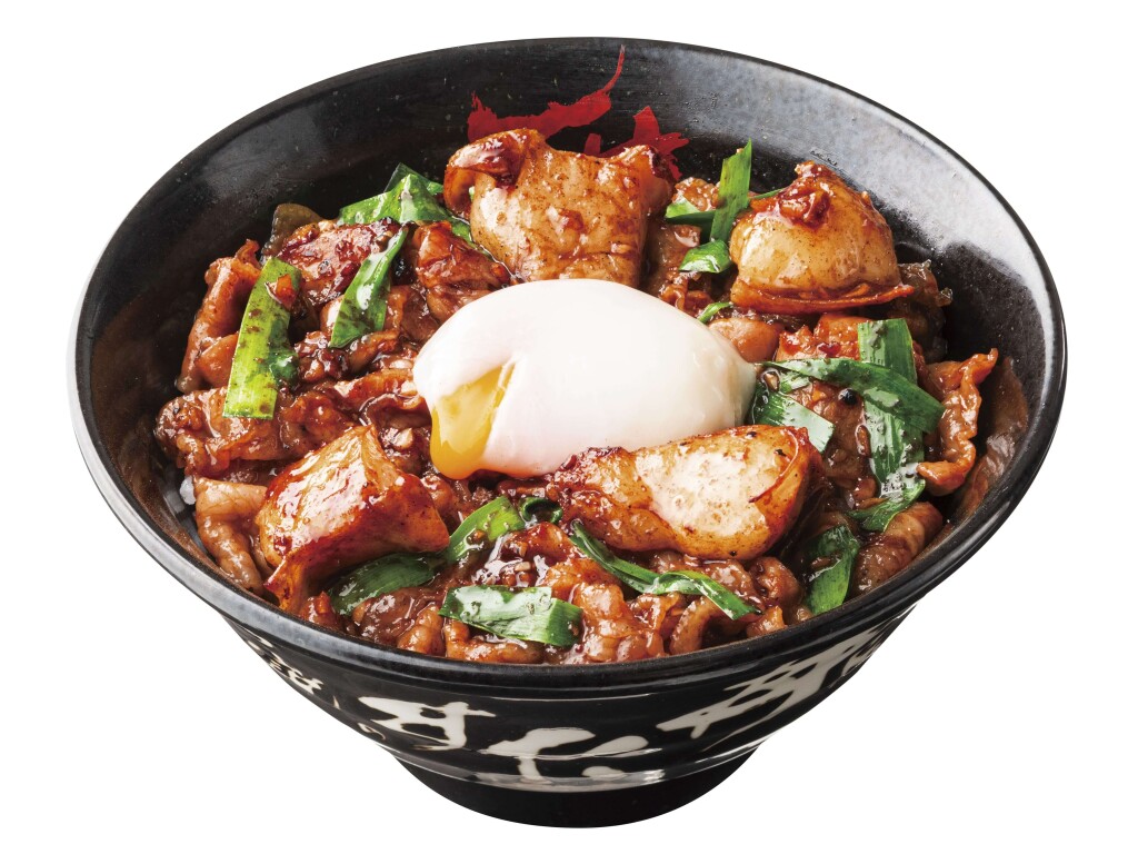 すた丼屋の『牛ホル焼肉ピリ辛すた丼』-腹八分目盛り