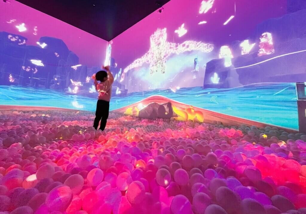 リトルプラネットの夏休み限定イベント『DINOSAUR FESTIVAL 2025(通称:ディノフェス2025)』-光と音がはじけるボールプールに巨大な恐竜が来襲!ドキドキの冒険を楽しもう!「ZABOOM JOURNEY(ザブーンジャーニー)」