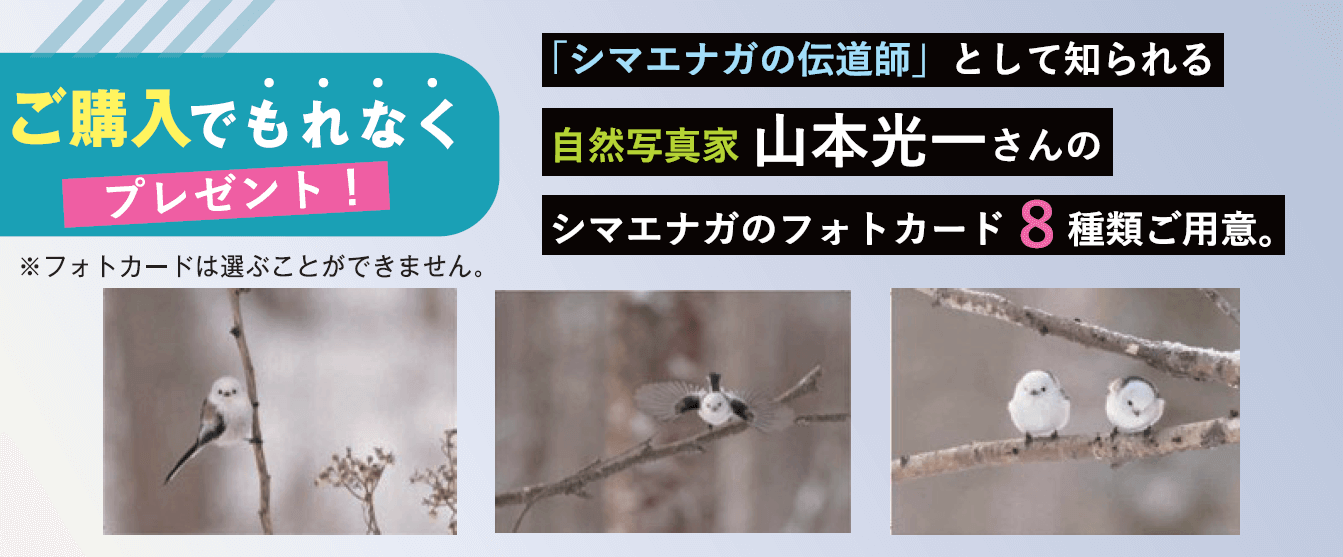 もち処一久大福堂の『ぽぬぐるシマエナガ』-自然写真家 山本光一氏との特別なコラボレーション