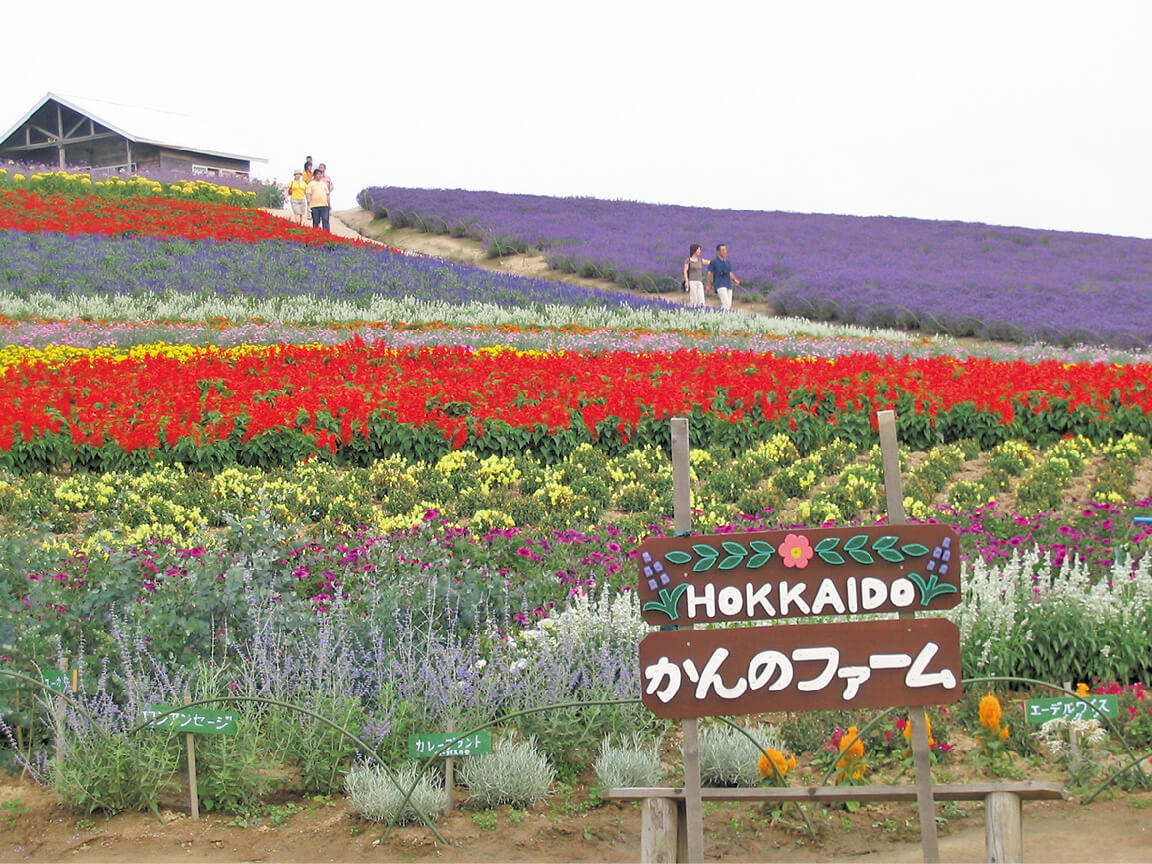 【上富良野町】かんのファーム