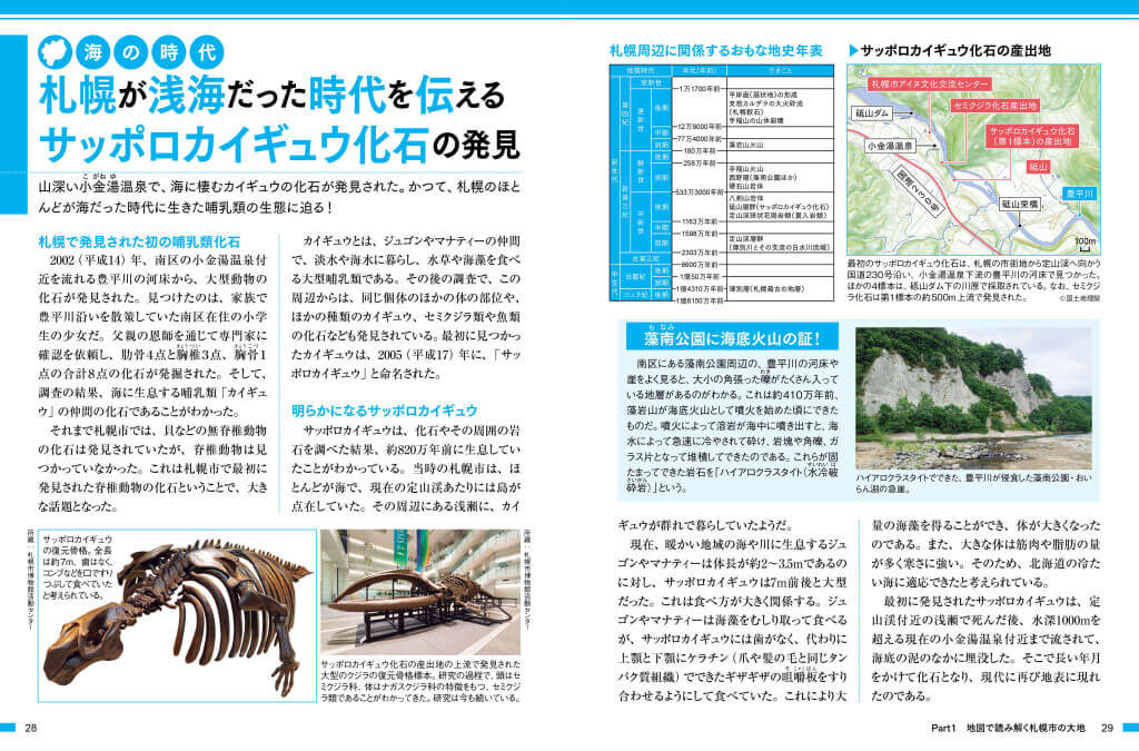 『札幌市のトリセツ』-サッポロカイギュウ化石の発見