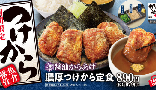 からあげ定食専門店「からやま」にて『鰻からたま丼』や『特選醤油からあげの濃厚つけから定食』など期間限定メニューが7月11⽇(金)より発売！