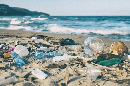 『SUSUKINO CLEAN OCEAN PROJECT』-エルコムとクリーンオーシャンプロジェクト