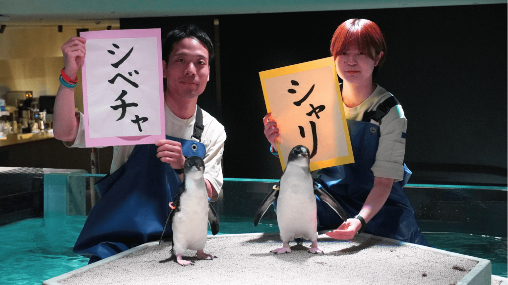 AOAO SAPPORO-（左）「シベチャ」、（右）「シャリ」