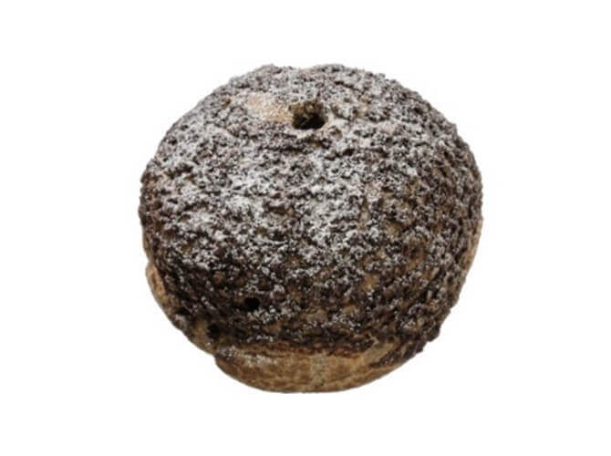 セブン‐イレブンの『クッキークリームシュー』