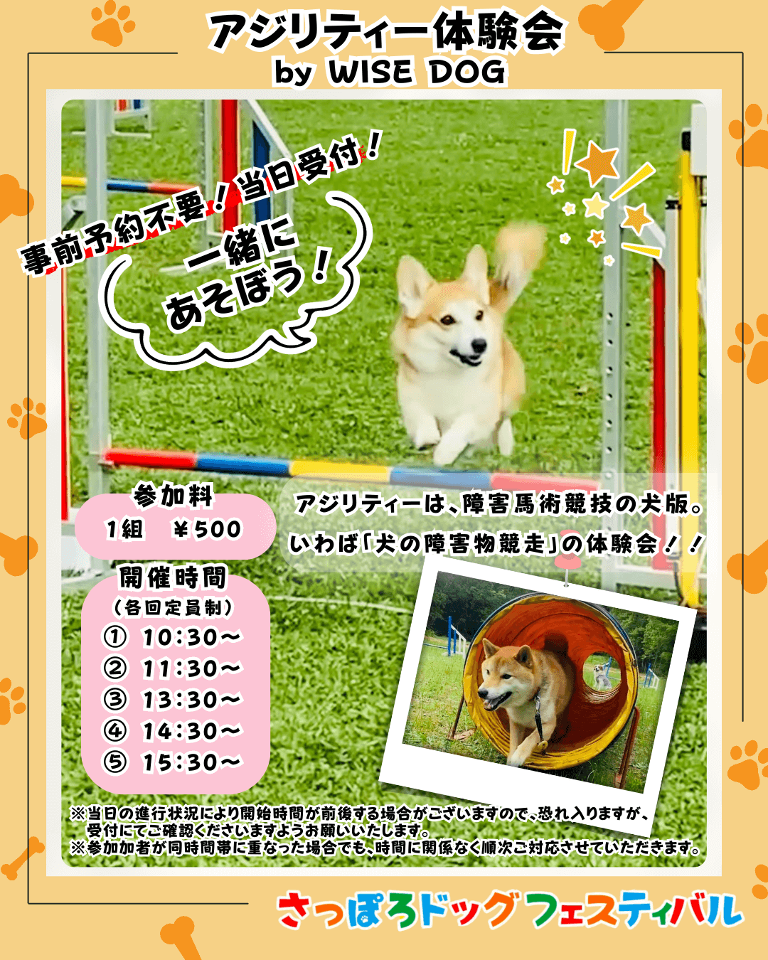 『さっぽろドッグフェスティバル2025』-アジリティー体験会 by WISE DOG