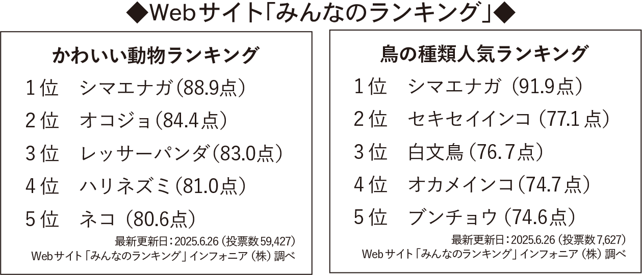 シマエナガ-みんなのランキング