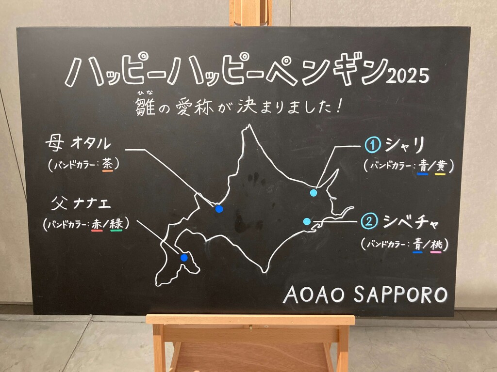 AOAO SAPPORO-「シャリ」と「シベチャ」お祝いのメッセージ