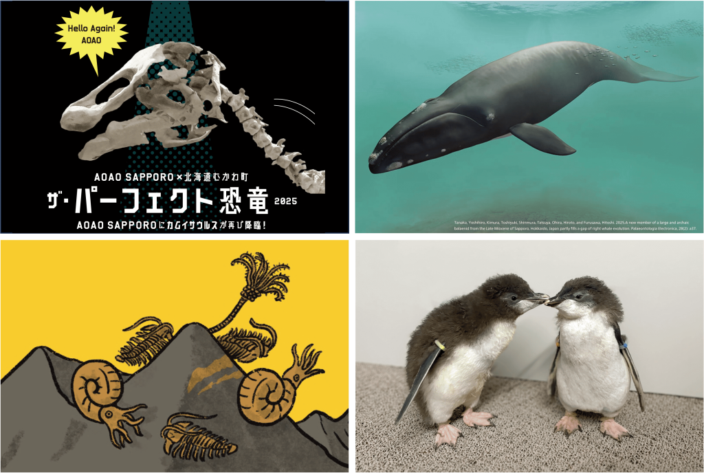 AOAO SAPPOROの特別企画展『恐⻯と海の物語展』
