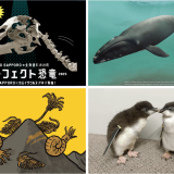 狸小路の都市型水族館「AOAO SAPPORO」にて特別企画展『恐⻯と海の物語展』が10⽉9⽇(⽊)より開催！