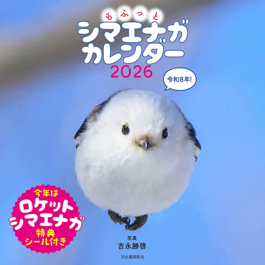 もふっとシマエナガ　卓上カレンダー２０２６