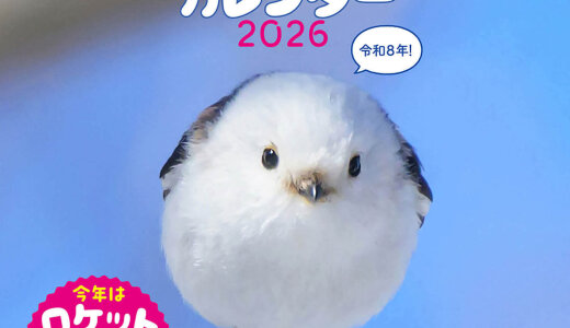 北海道在住のカメラマン・吉永勝啓による新たな撮りおろしのシマエナガ『もふっとシマエナガ　カレンダー２０２６』・『もふっとシマエナガ　卓上カレンダー２０２６』が9月12日(金)より発売！