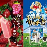 『大人なガリガリ君いちご』『ガリガリ君リッチミルクミルク』が9月1日(月)より発売！