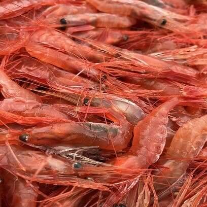 島牧村-濃厚甘エビ　北海道日本海甘エビ【200ｇ×4】