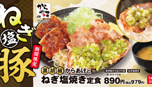 からあげ定食専門店「からやま」にて食べ応えとさっぱり感を両立した『黒胡椒からあげとねぎ塩焼き定食』が9⽉19⽇(金)より発売！