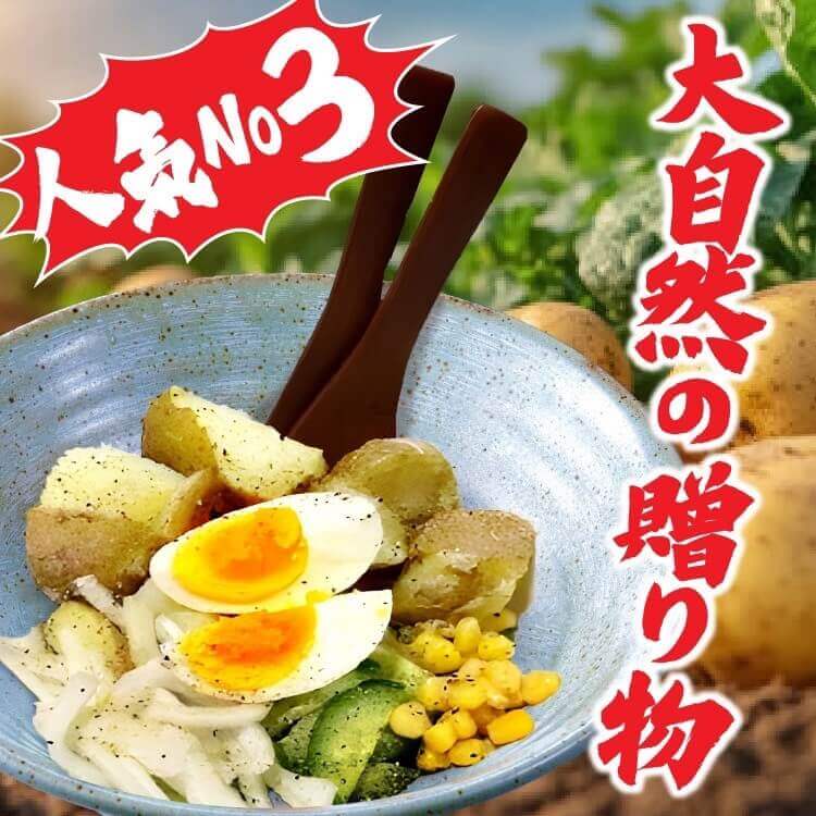 新時代の『面倒くさいポテトサラダ ハーフ』