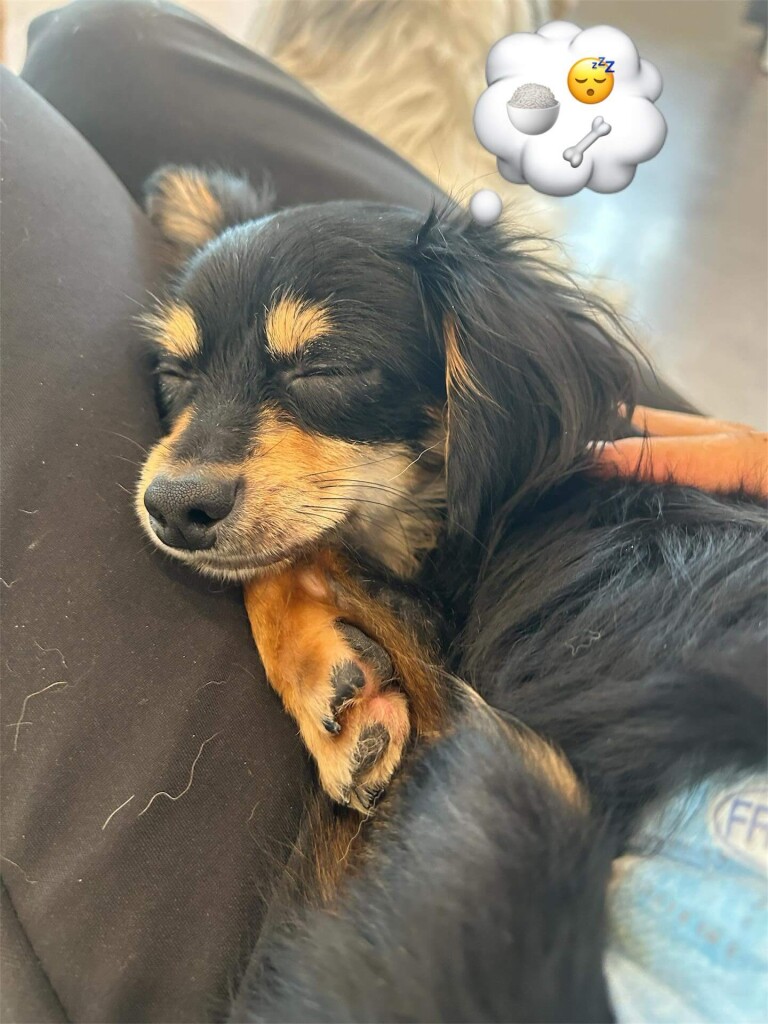 ANELLA CAFE(アネラカフェ)-