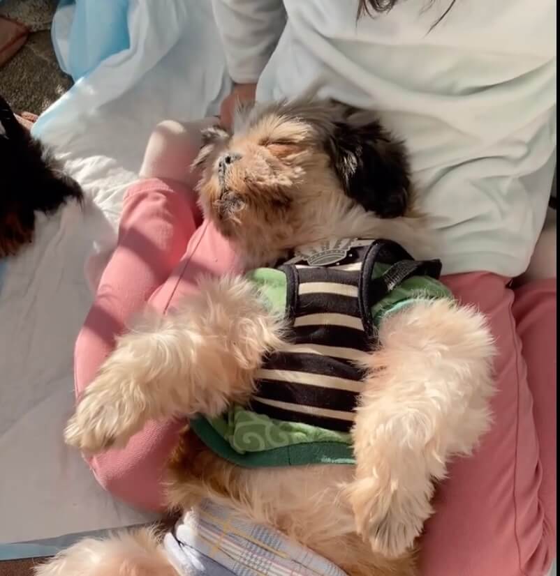 ANELLA CAFE(アネラカフェ)-