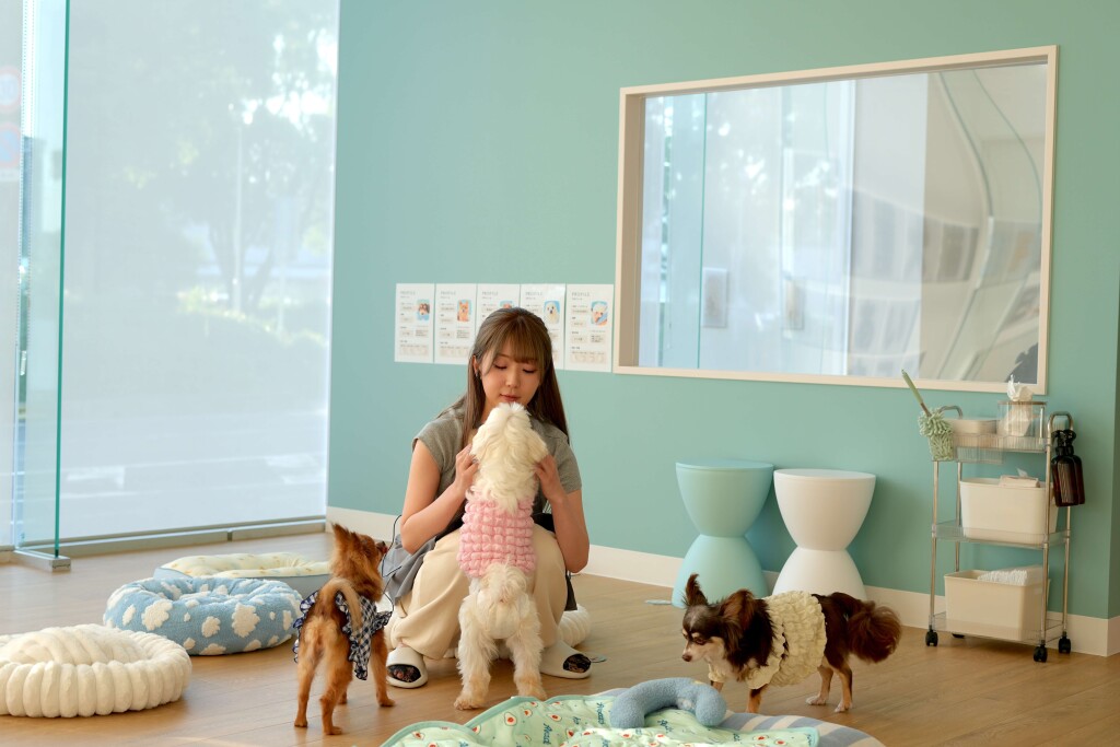 ANELLA CAFE(アネラカフェ)-お気に入りの子を見つける-ふれあいタイム-