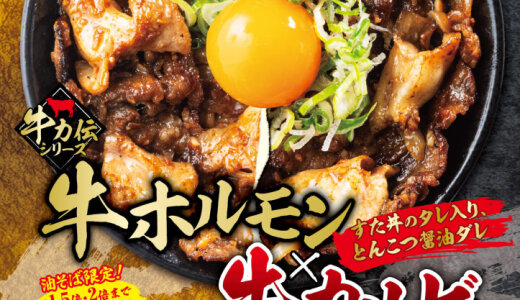 札幌駅前にもあるすた丼屋にてとんこつ醤油ダレ絡む『とんこつ醤油牛カルビホルモン丼』『とんこつ醤油牛カルビホルモン油そば』が1月4日(火)より発売！