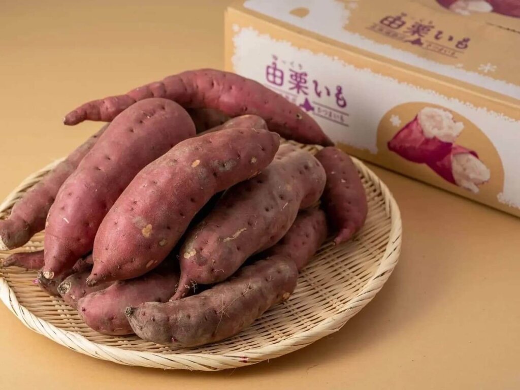 さっぽろ羊ヶ丘展望台の『秋の羊ヶ丘展望台から”ふるまいも”』イベント