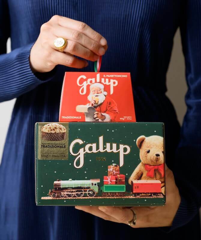 il bivio(イルビヴィオ)の『パネットーネ100g / グランガルップ・トイズエディション』