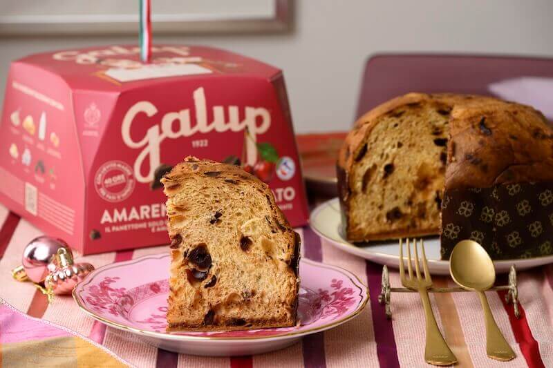 il bivio(イルビヴィオ)の『アマレーナとダークチョコレートのパネットーネ』