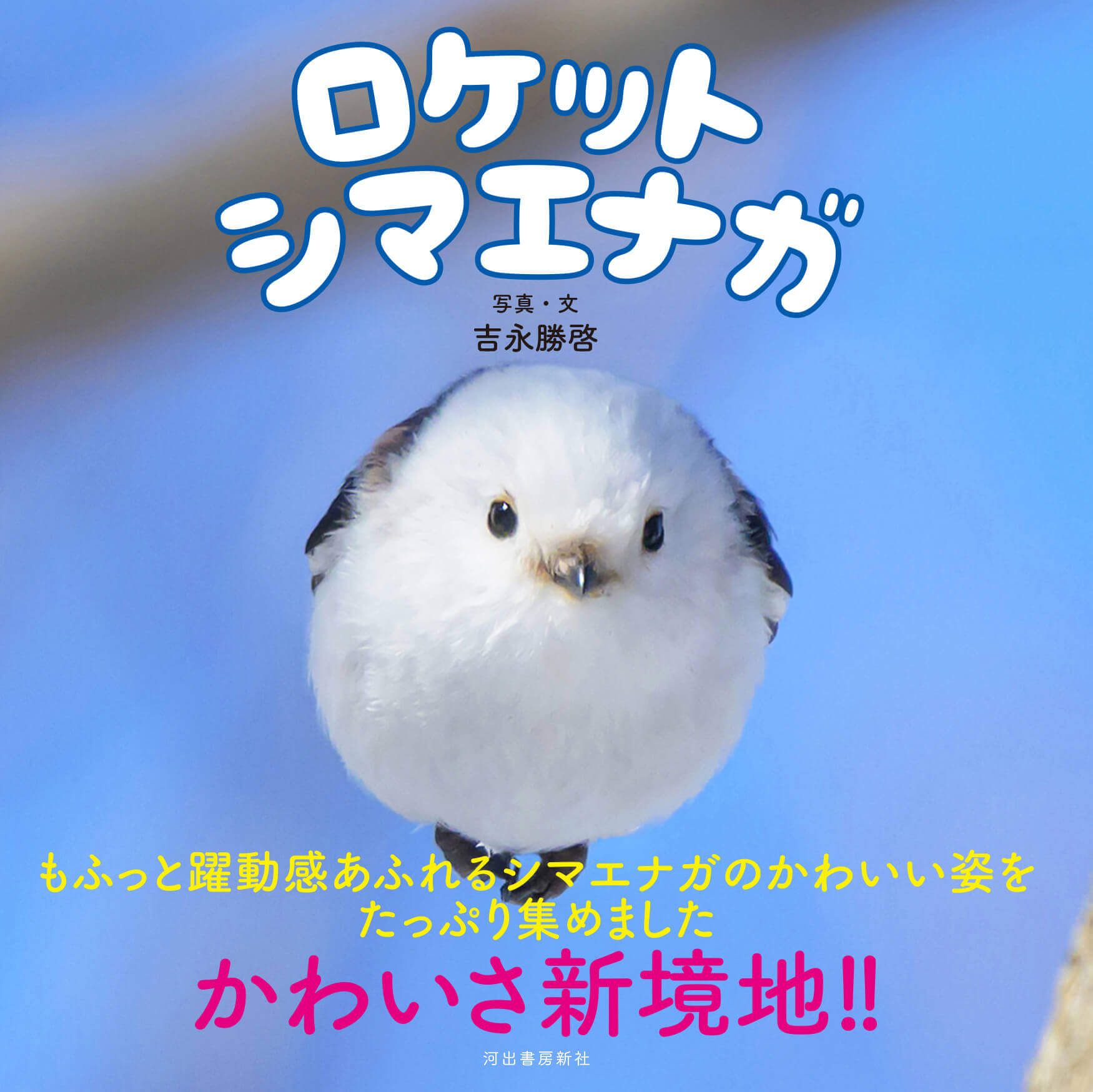 写真集『ロケットシマエナガ』