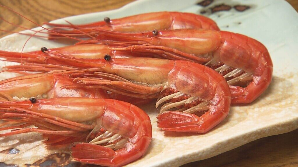 『ドランクドラゴン塚地の北海道イージュー旅 in 別海町』