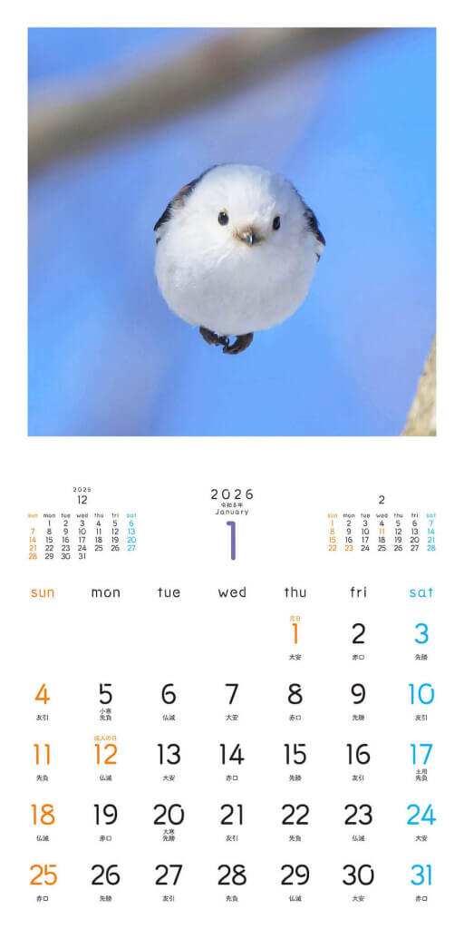 〈壁掛け版〉「もふっとシマエナガ カレンダー２０２６」