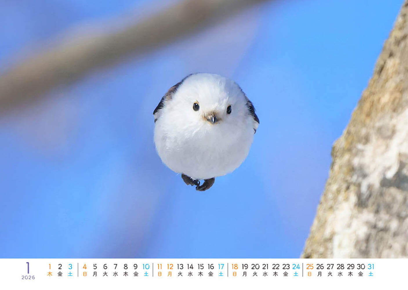 〈卓上版〉「もふっとシマエナガ 卓上カレンダー２０２６」（裏面：月表示）