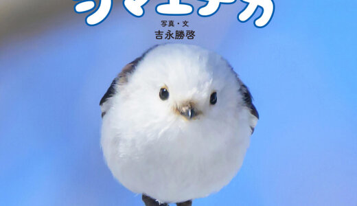 北海道の冬空を自由自在に飛び回る“雪の妖精”シマエナガのもふふわ写真集『ロケットシマエナガ』が12月23日(火)より発売！2026年カレンダーも発売中、大好評重版出来！