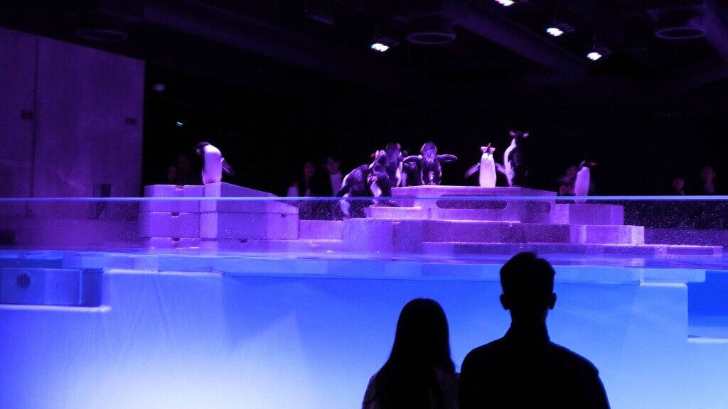 AOAO SAPPOROの『PINGU™×AOAO SAPPORO SWEET AQUARIUM 冬の、愛のすいぞくかん』-ペアで楽しむAOAO SAPPORO イメージ