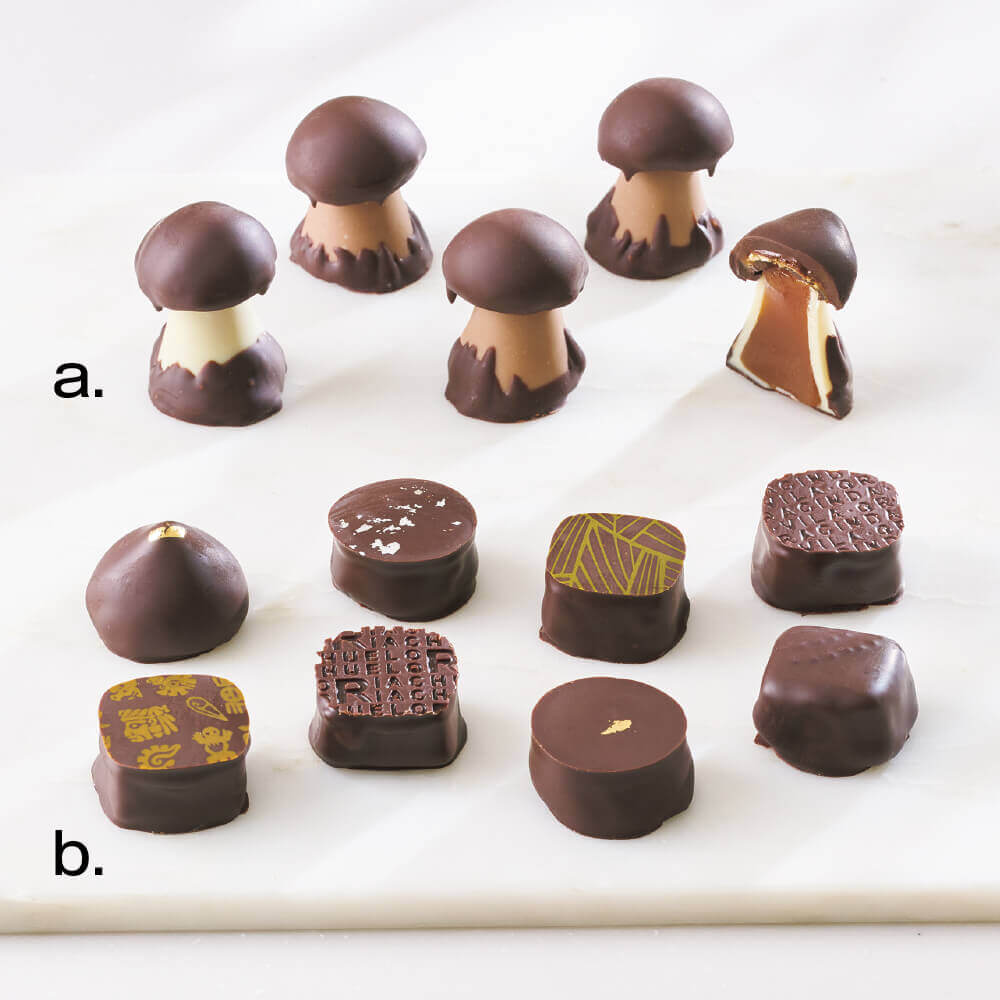 CLUIZELの『クルイゼル シャンピニオン アソルティモン』