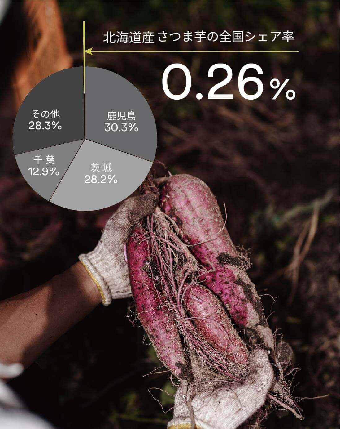 アソンブロッソの『北海道産さつま芋の冷やしキャラメリゼ』-北海道産さつま芋のシェア率