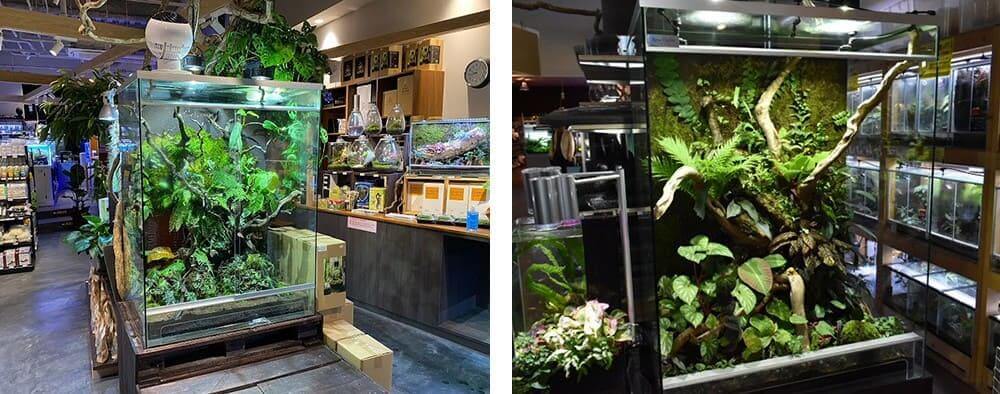 アクアテイラーズ