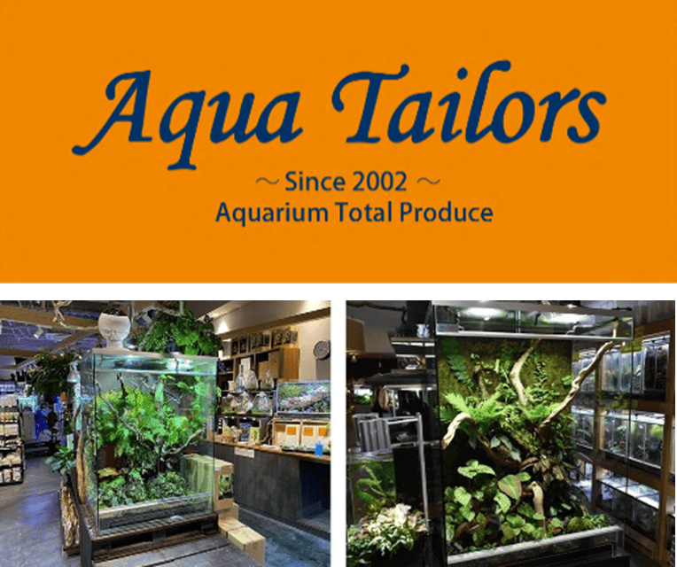 アクアテイラーズ