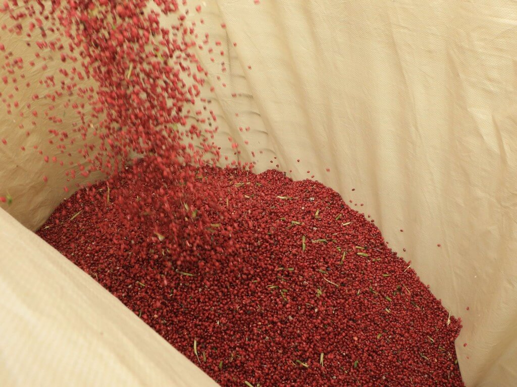 小樽洋菓子舗ルタオの『パフェ ドゥ フロマージュ 宇治抹茶&北海道小豆』-エリモ小豆