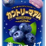 旬のブランド果物を使用した季節限定商品『カントリーマアム(森のサファイアブルーベリー／夕張メロンソフト)』が6月2日(火)より発売！