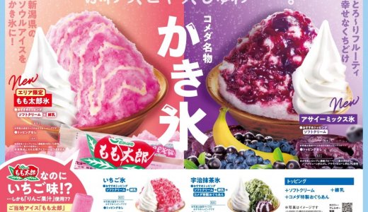 コメダ珈琲店にてかき氷が7月1日(水)より発売！今年は2つのエリアで異なる味わいのかき氷を展開