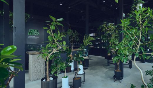 【PLANTHINK(プランシンク)】南区に植物ケアを手がける“植物専門店”がオープン！