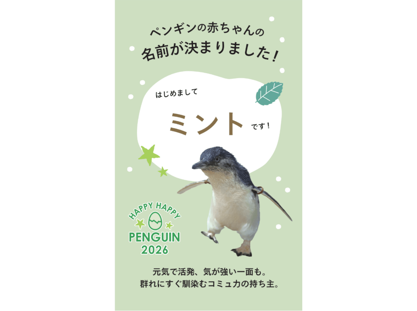 AOAO SAPPORO-ハッピーハッピーカード 〜はじめまして「ミント」です!〜