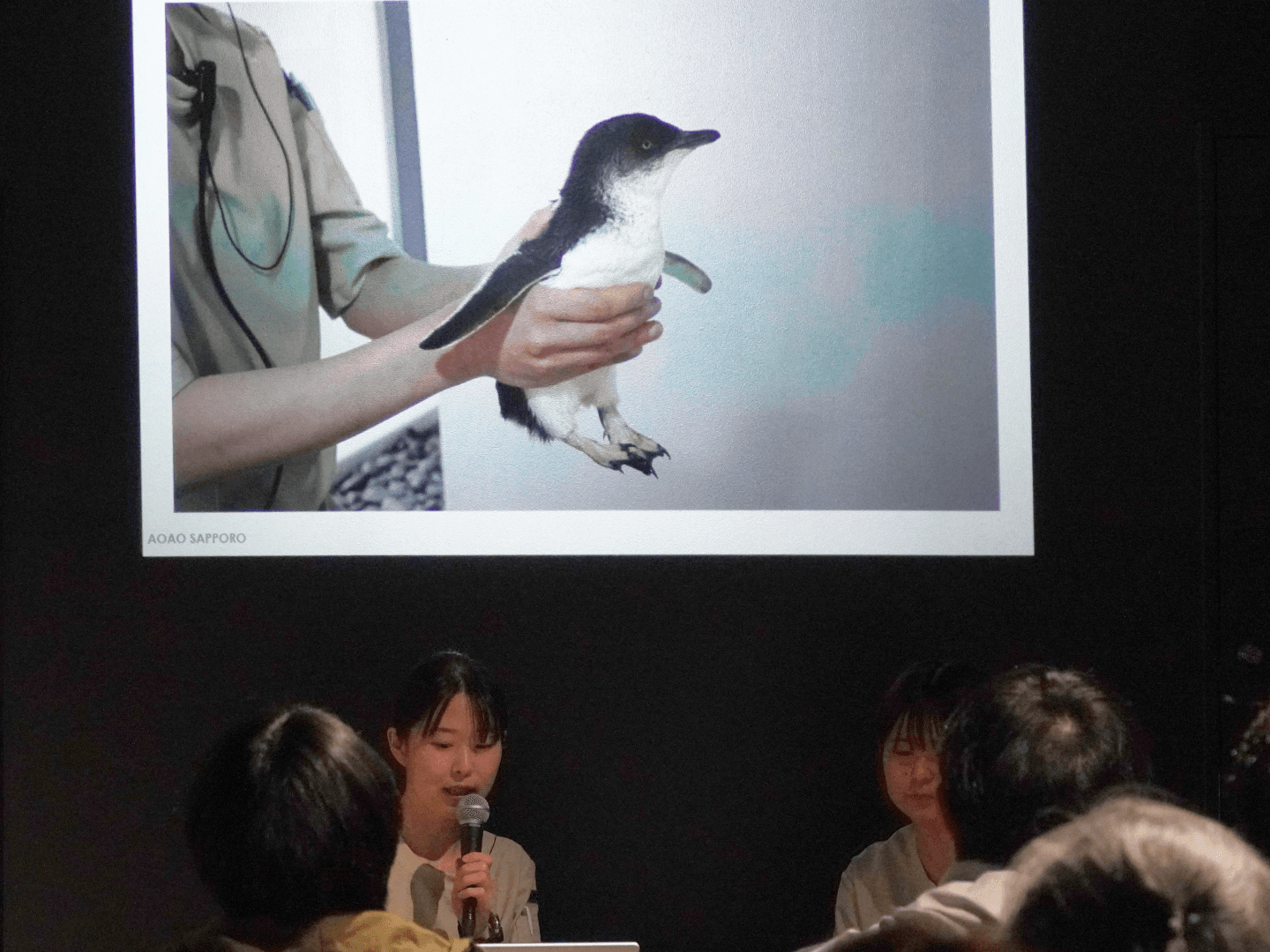 AOAO SAPPORO-NIGHT WATCHING TALK