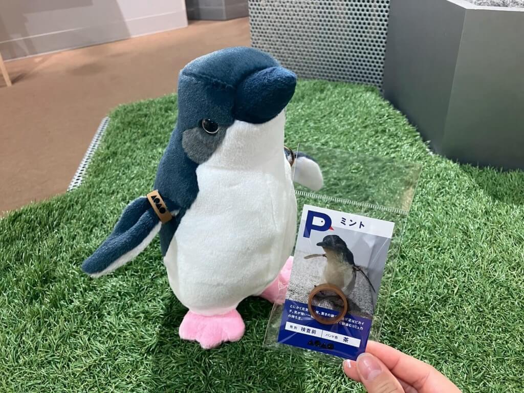 AOAO SAPPORO-ペンギンバンド