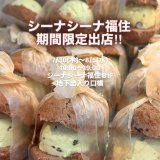 カラフルクリームが7月30日(木)よりシーナシーナ福住に期間限定で出店！